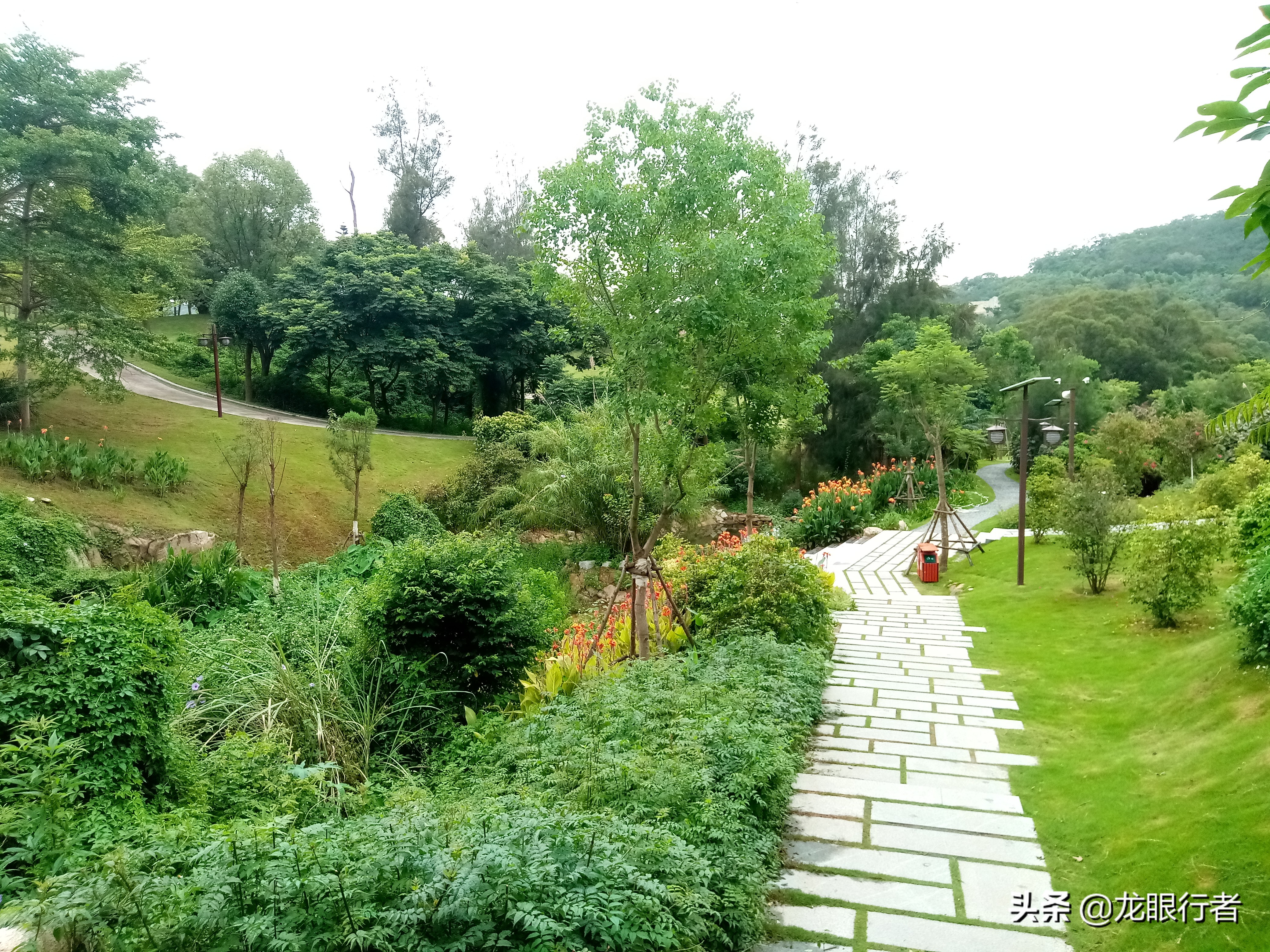 绝配，万载*光春**百年坝，厦门岛竟然私藏着曾经的远东第一水厂