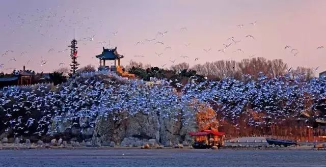 80岁前一定要去的中国的100个地方！你去过几个了？