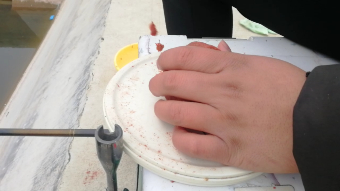 饵料开出来丝不够如何补救,天元邓刚饵料不出丝怎么办