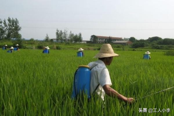 农药业务员怎么挣外快,农药业务员一月工资多少