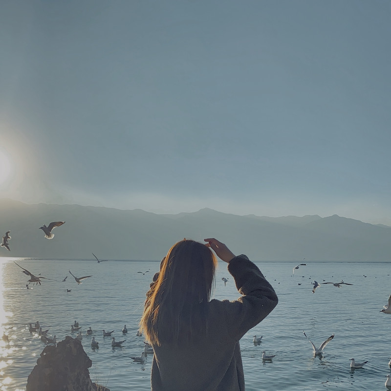 大理洱海电动车环海路线,大理可以租电动车环洱海吗