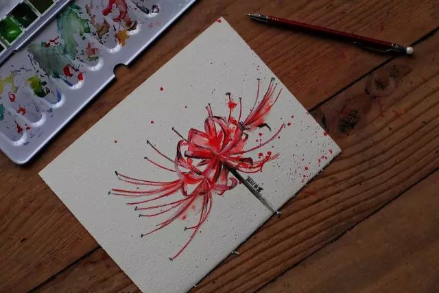 做一些无用的事。手把手教你画几朵花，够你打发一下午时间