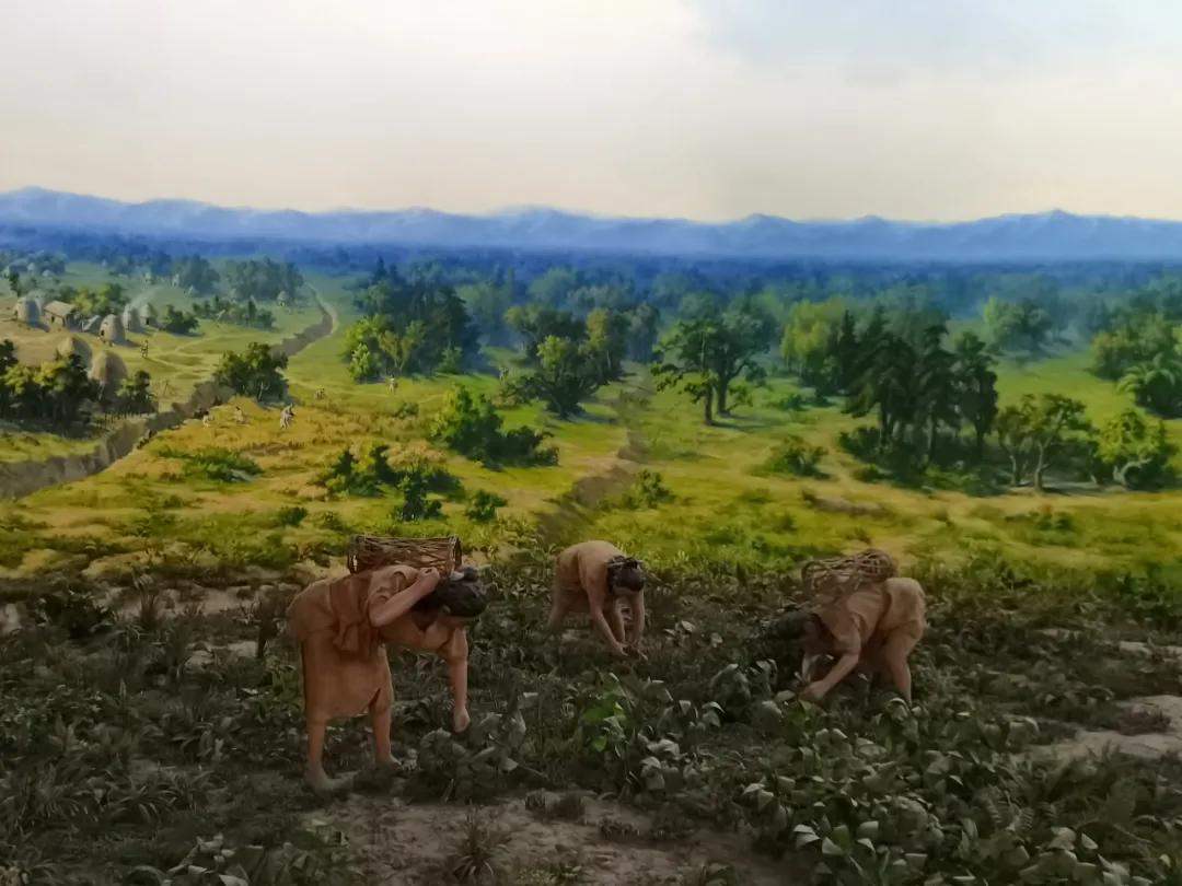 世界博物馆排名卢浮宫,国家博物馆历史博物馆