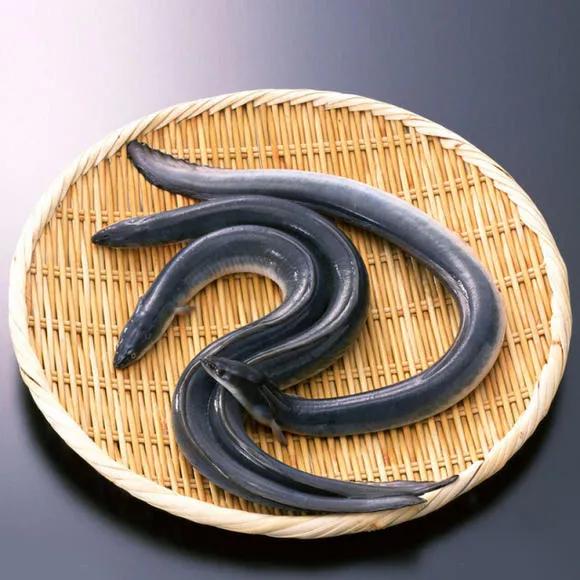 中国最好吃的4大淡水鱼,中国特别好吃的10种淡水鱼