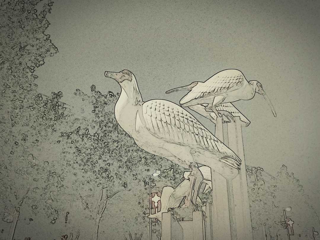 两个字的生僻字大全,最难认的两个生僻字