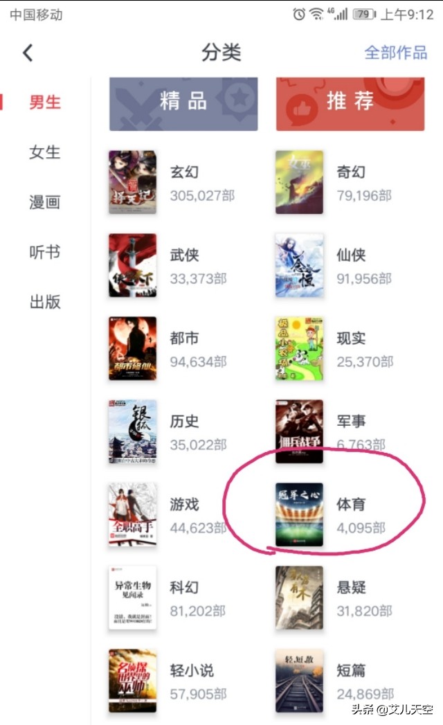 林海听涛冠军之光,林海听涛的小说评价