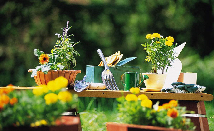 有一次签证豁免再入境会有麻烦吗,带了濒危物种入境