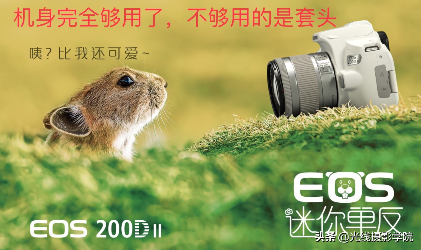 尼康全画幅镜头便宜还是佳能便宜,佳能rf24-240镜头和尼康z24-200