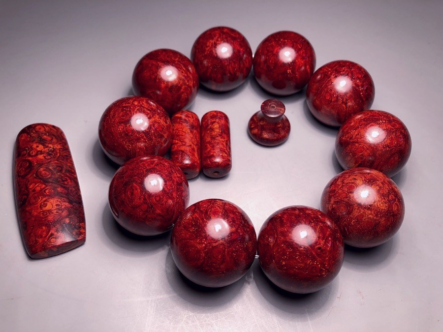 印度小叶紫檀森林视频,印度小叶紫檀秒懂百科