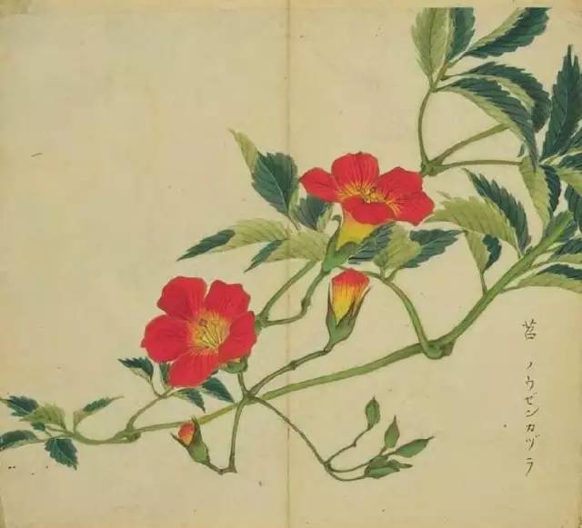 惊艳千年的古诗词合集,五千年来最美的20首诗