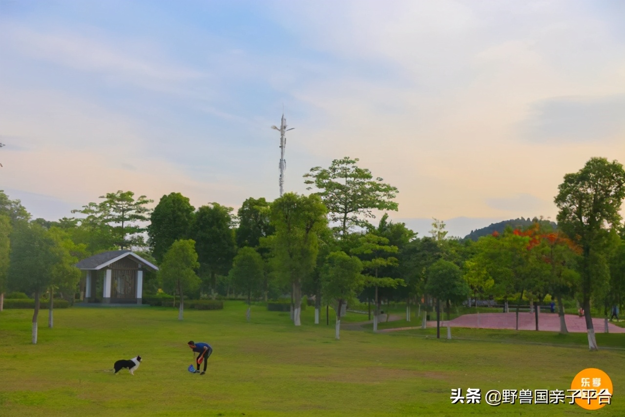 松山湖风景区松湖烟雨是哪个门,松山湖景区松湖烟雨有哪些好玩的