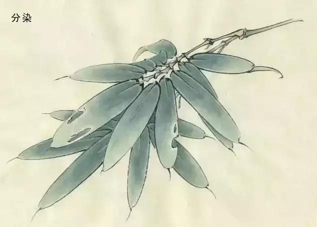 工笔画红叶染色技法,工笔画牡丹花头染色技法步骤