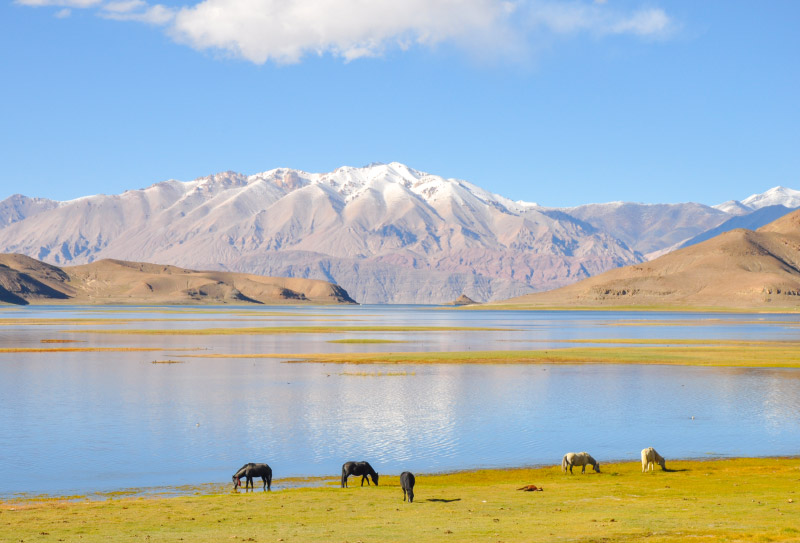 阿里无人区到底藏着多危险,阿里无人区深处