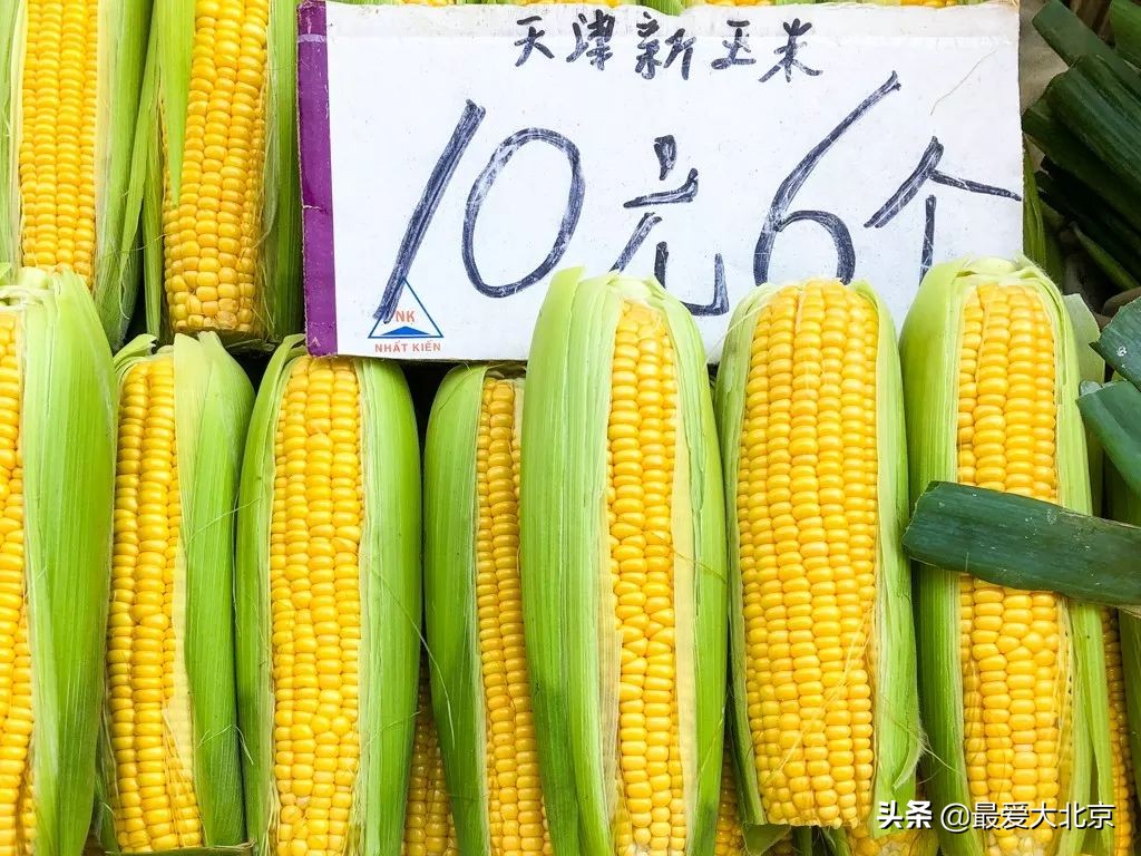 最便宜的早市品种,北方早市有哪些品种