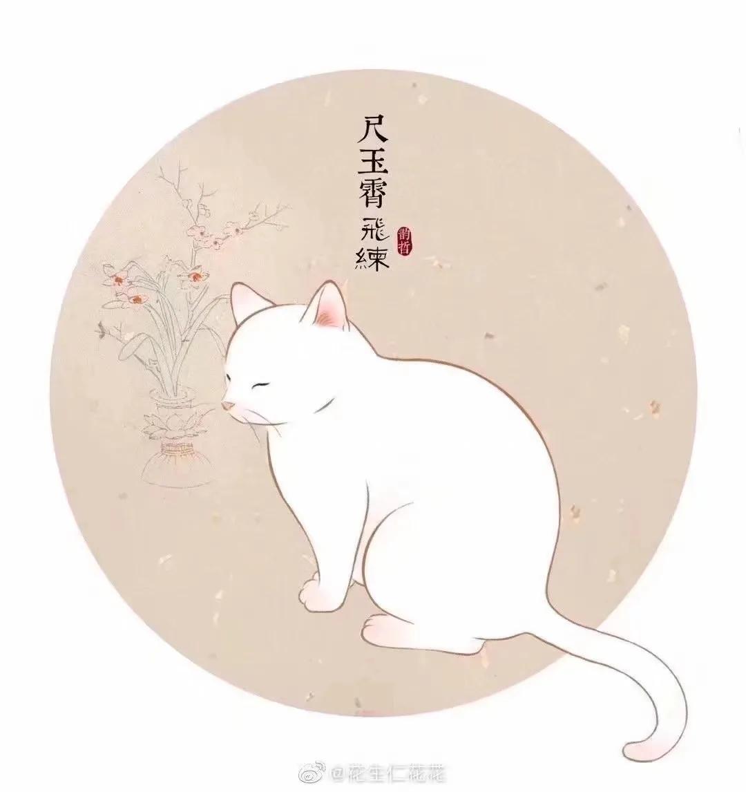 猫在古代是如何看待猫的,古人按猫的颜色分类
