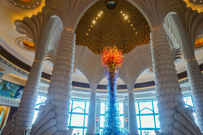 从天空到海洋到大地的视频,从天空到海底绘本