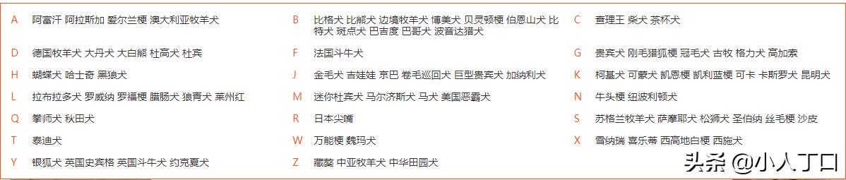 科普30种比较出名的宠物狗,公认最好养的十种宠物狗