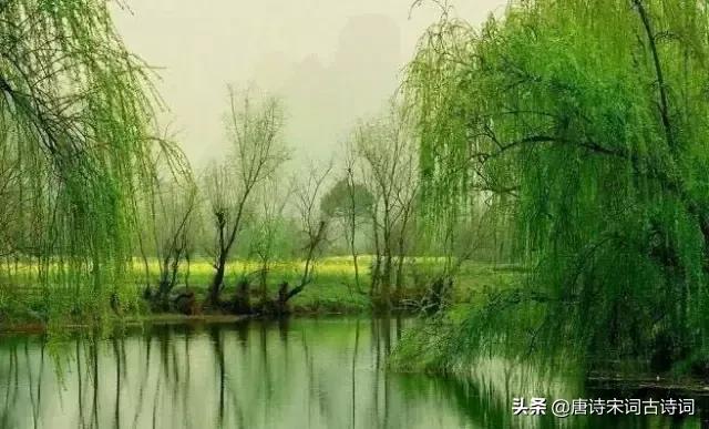 春梦了无痕,春梦了无痕世事随云去