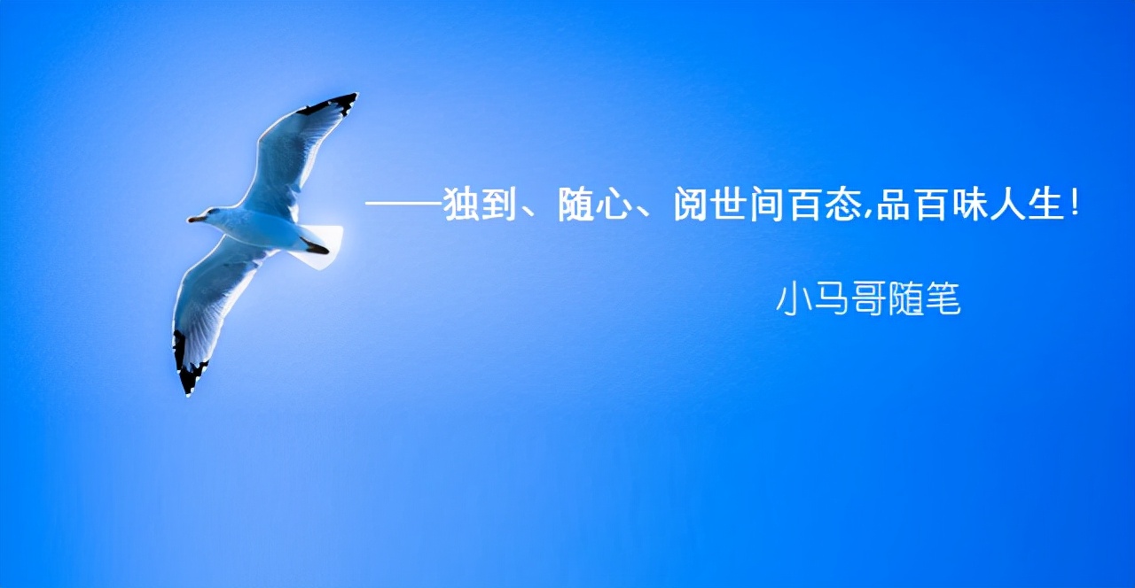 小马哥怎么找房子,小马哥视频怎么找