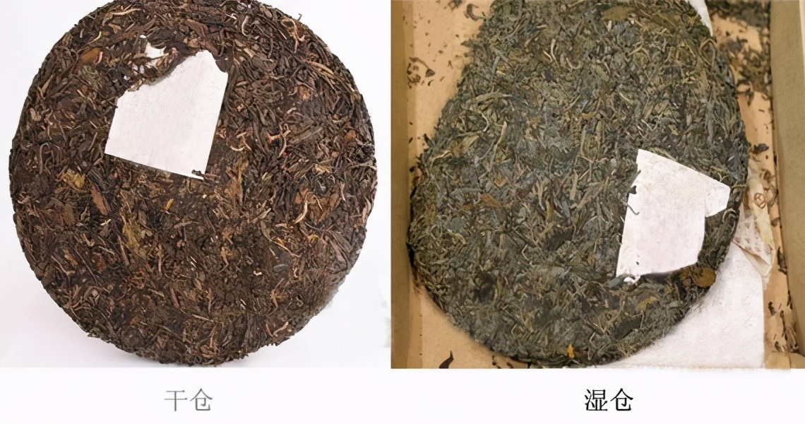 普洱茶分类普洱茶有几种类型,普洱茶基础知识普洱茶分类