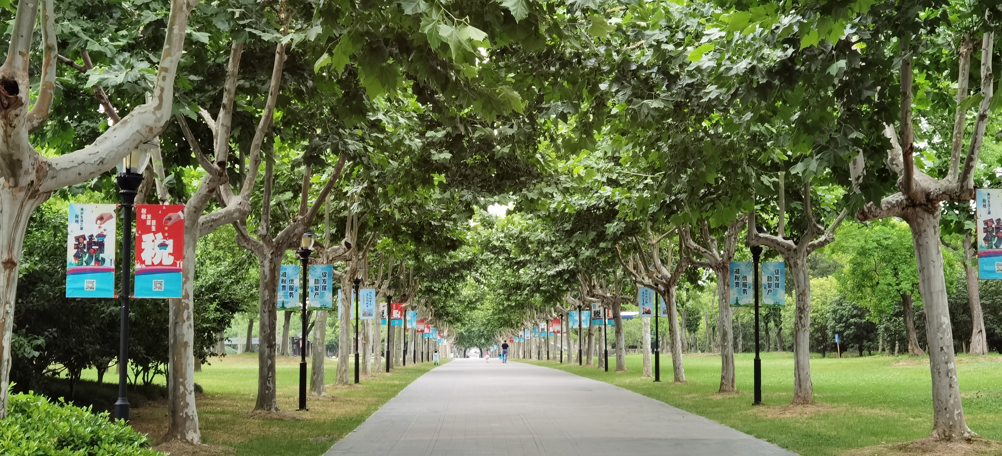 早上皮包水,晚上水包皮,扬州是生活最舒服的城市吗?