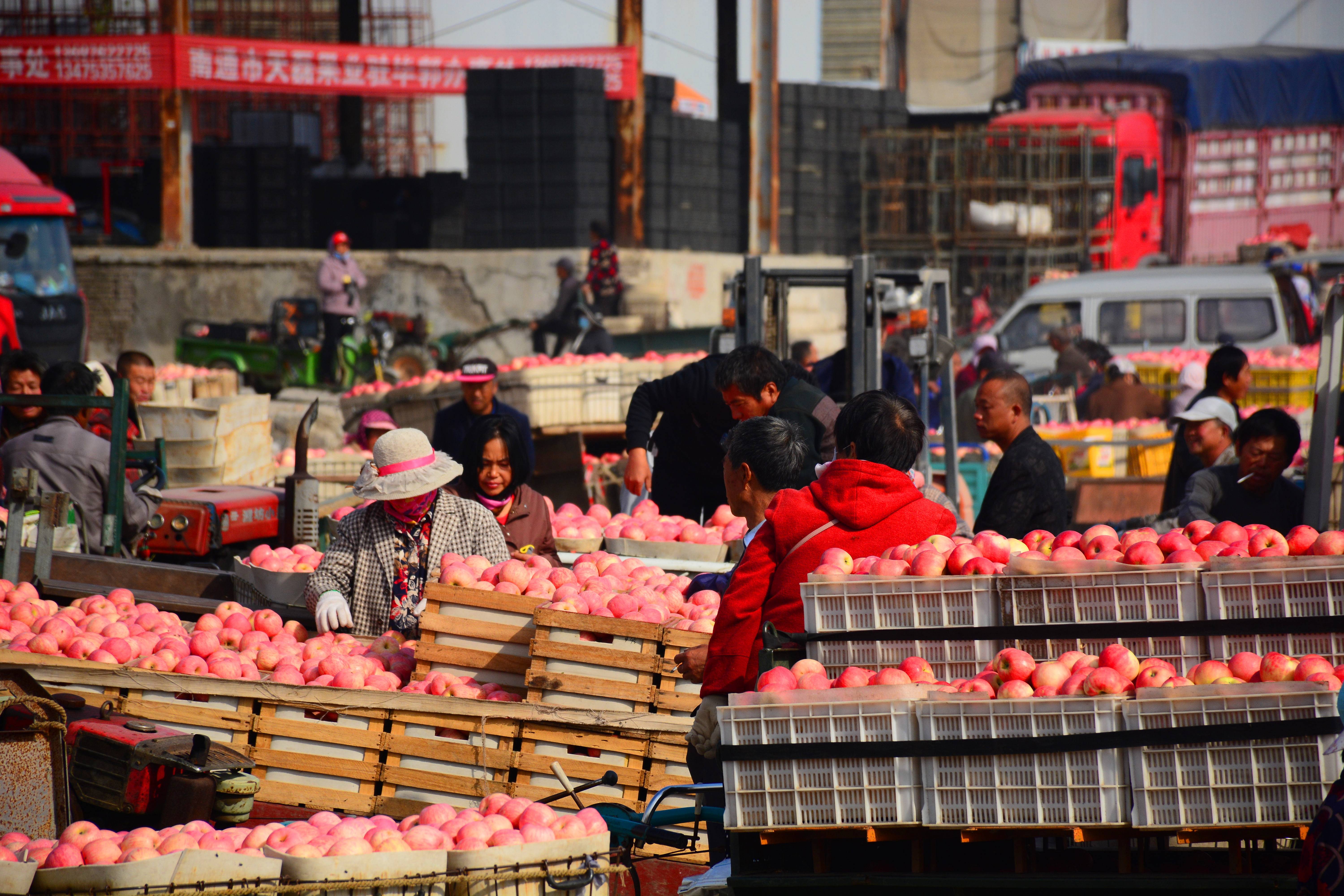 烟台苹果价格分析表,烟台蓬莱苹果价格表
