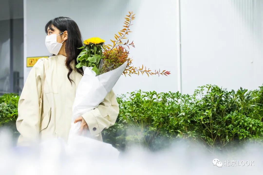 北京最大花市在哪,北京比较知名的花市有哪些