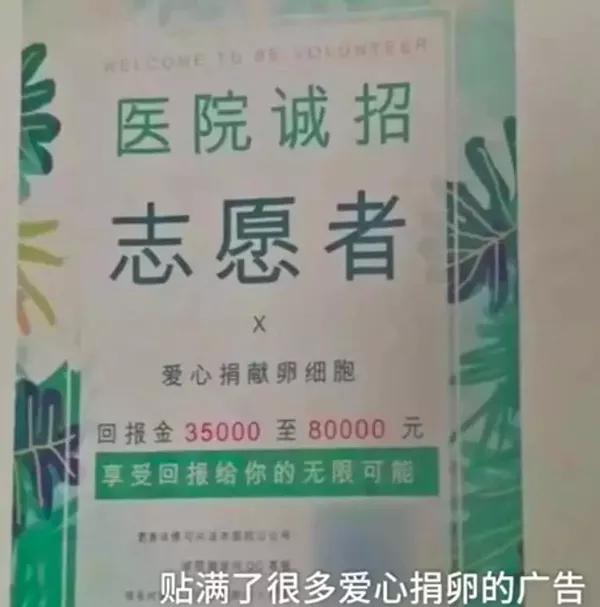 拜金的代价,花季少女堕落史!揭开捐卵黑中介的阴谋