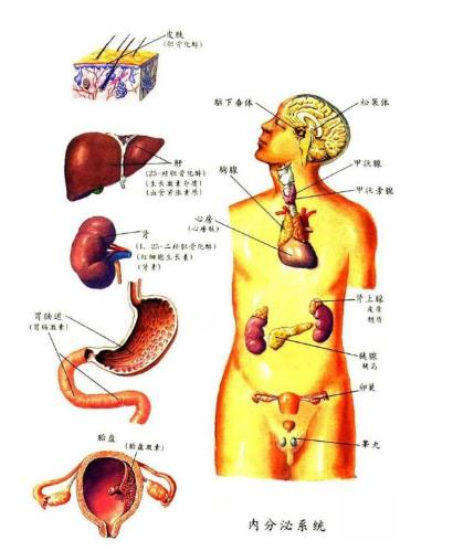 这个广州不太冷：送外卖淋雨淋出白癜风，路人举动很暖心