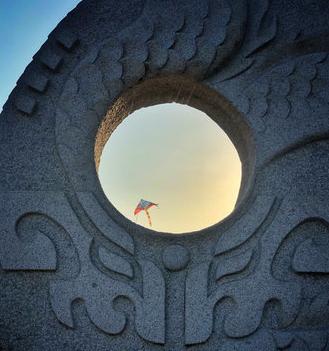 鸽群飞翔视频大全,鸽群飞翔视频