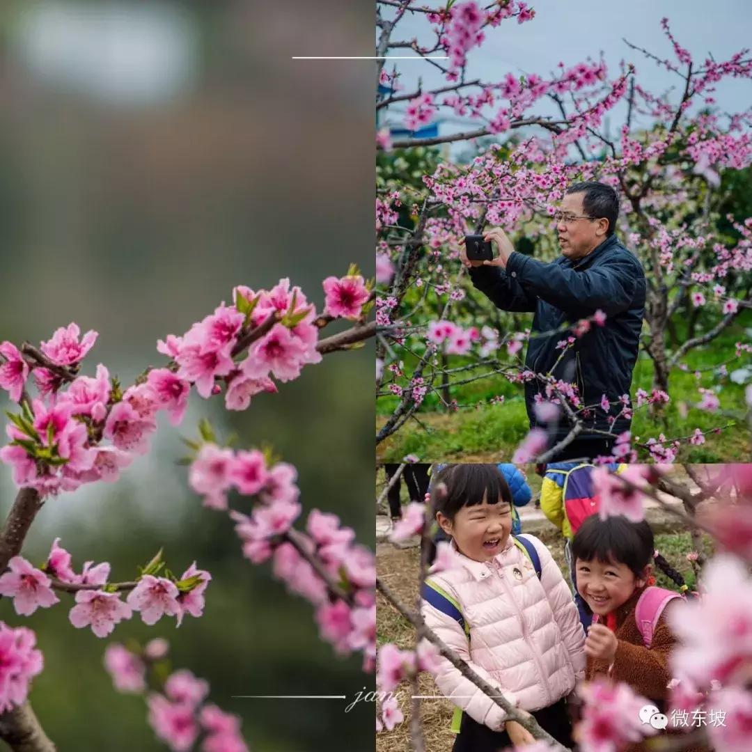 花开十五载,花开十五载筑梦新未来