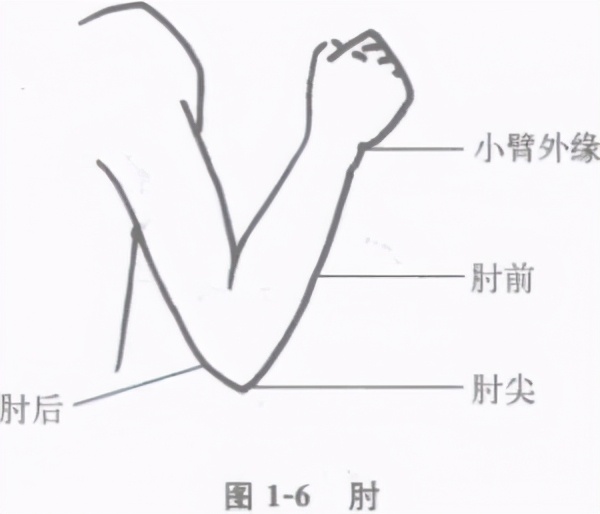 中国擒拿术擒拿十八法全教程,擒拿术基本功训练