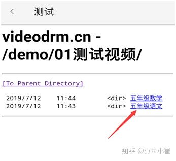 安卓手机*放播**加密视频详解「点盾云*放播**器」