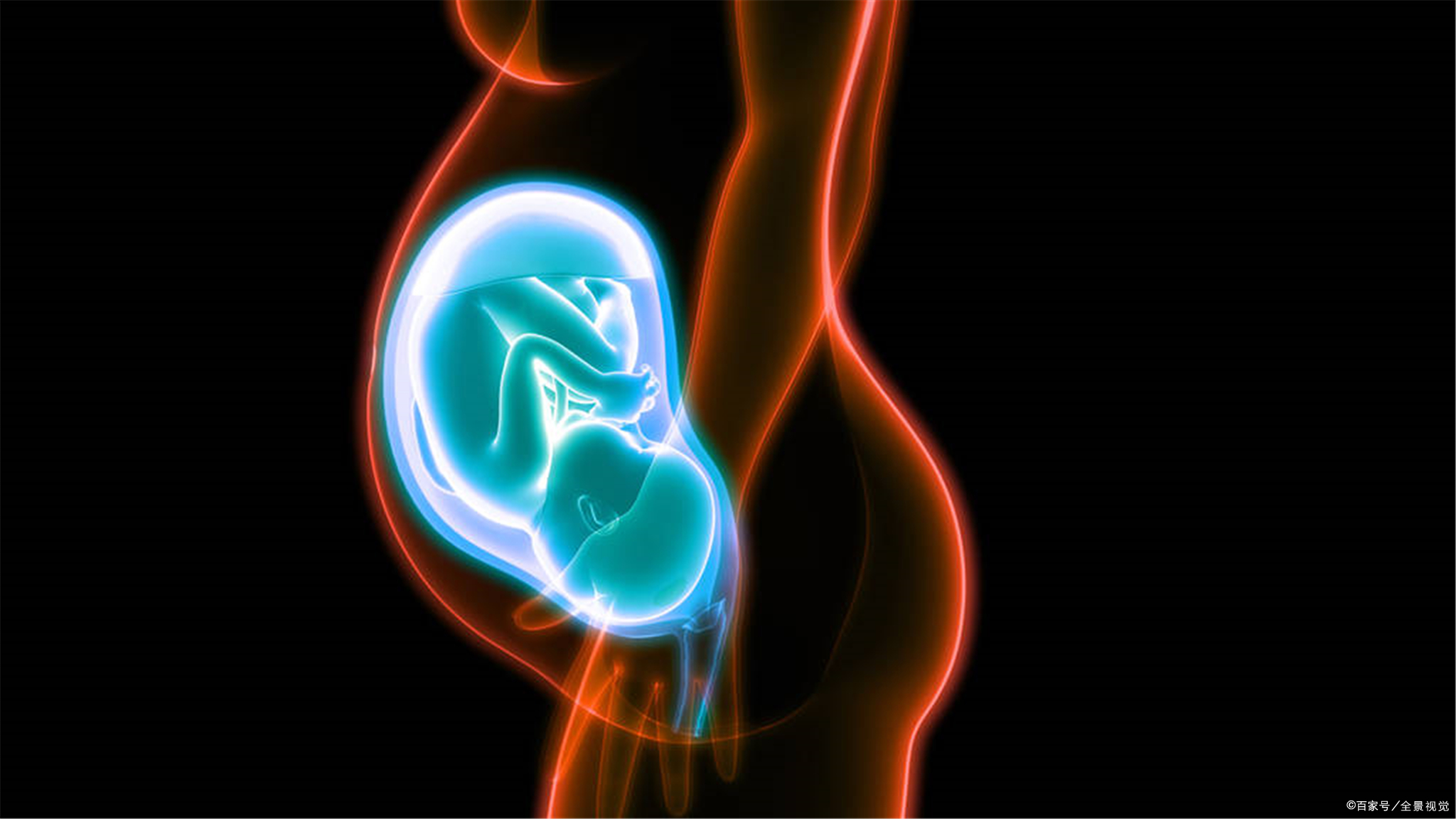 人的生殖生物学练习册,人的生殖课程讲解