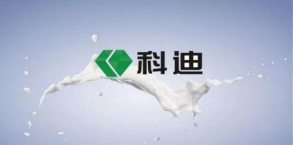 重新发现虞城之三：有一种民营企业叫科迪