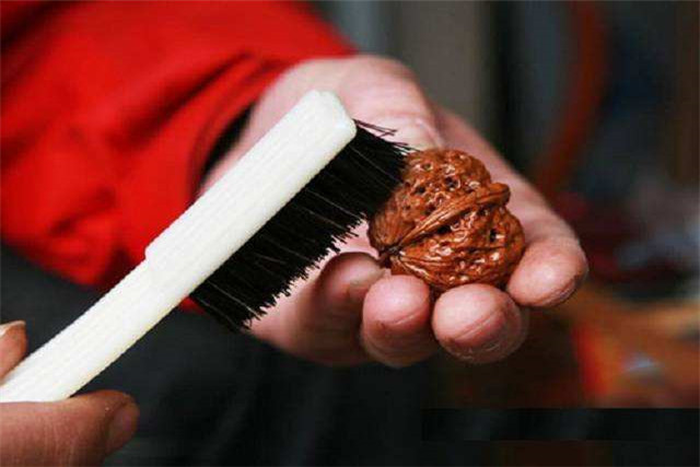 注意“四要”，做到“八玩、八怕”，你也能盘好野核桃