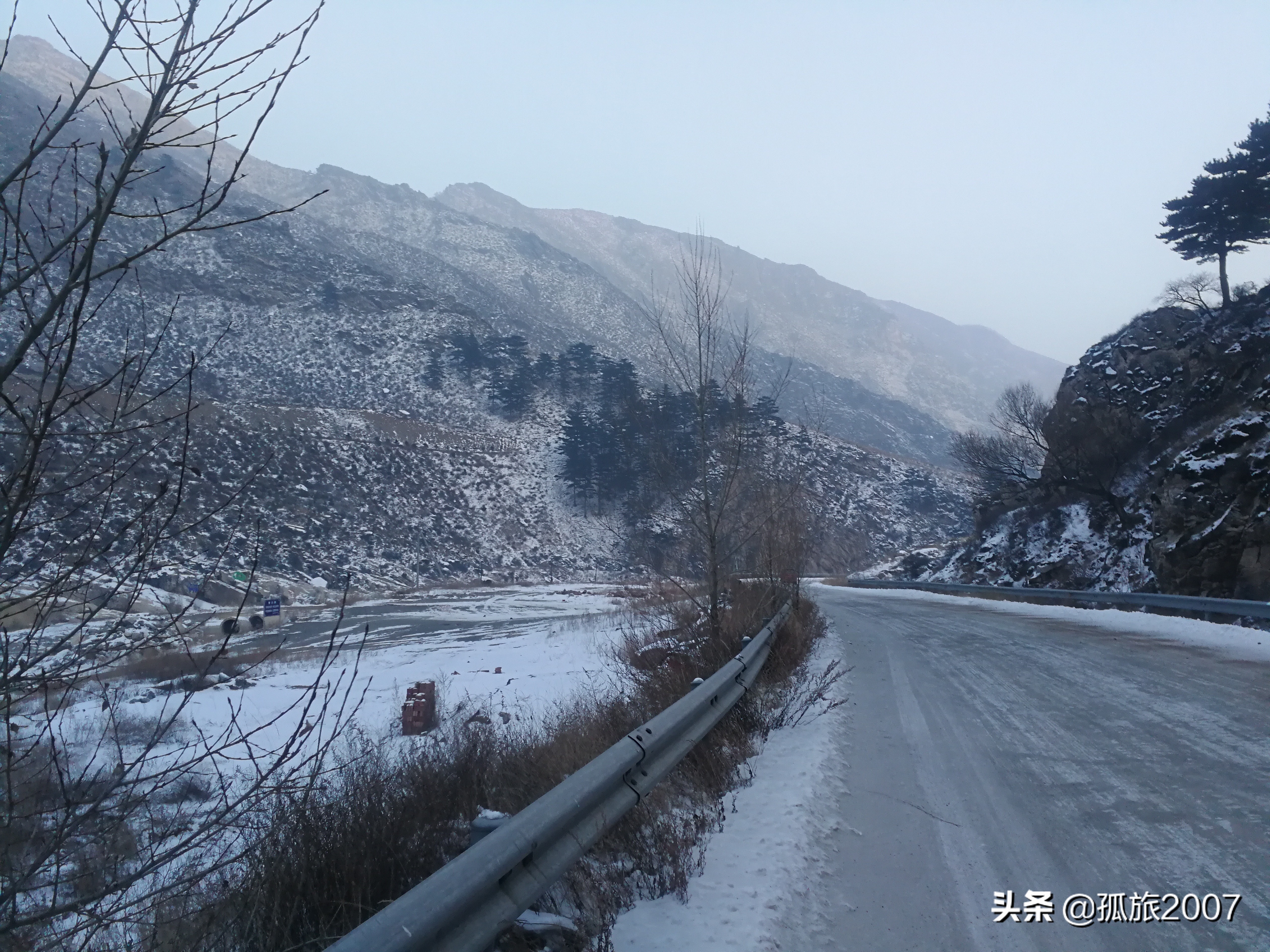 哈拉沁老爷庙迎客松多少年了,哈拉沁古庙