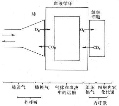 佳明定位评测,佳明venu系列演示