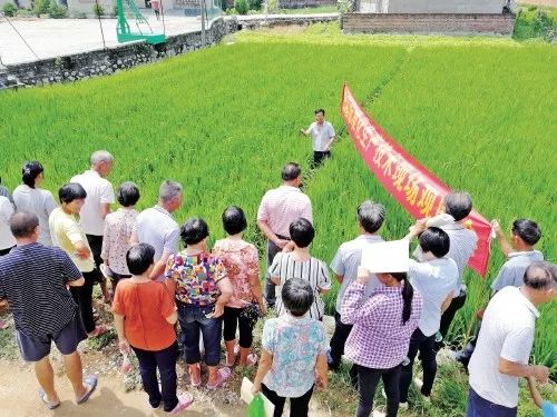 3年30亿扶持3000村!广东“一村一品、一镇一业”今年起这么干!