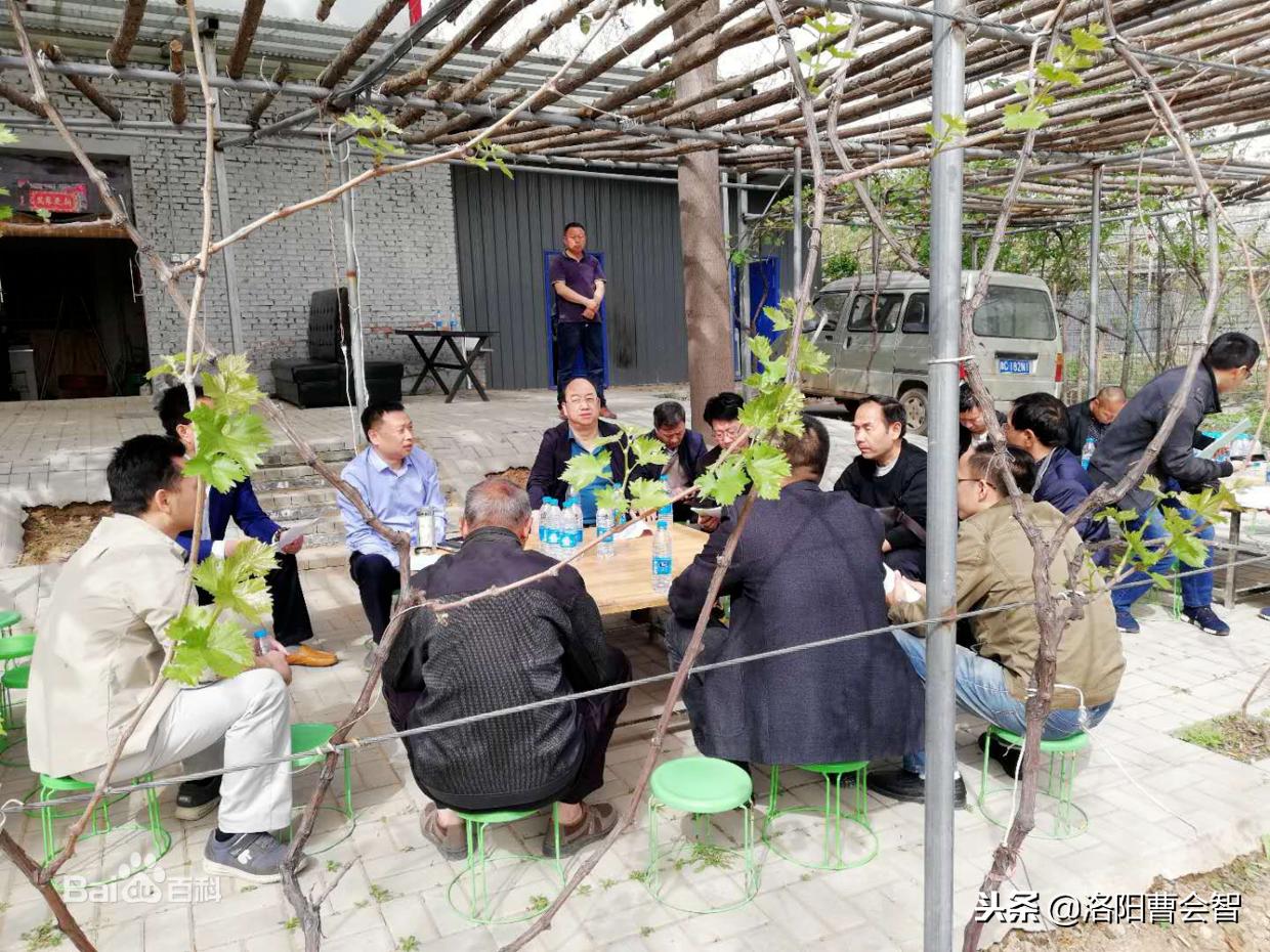 王祥卧冰求鲤的故事,王祥卧鱼典故