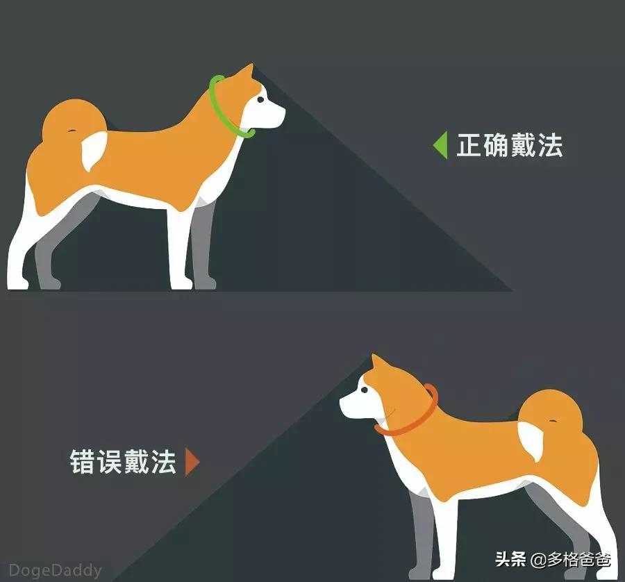 怎么纠正狗狗爆冲咬人,狗狗爆冲一定要用p链吗