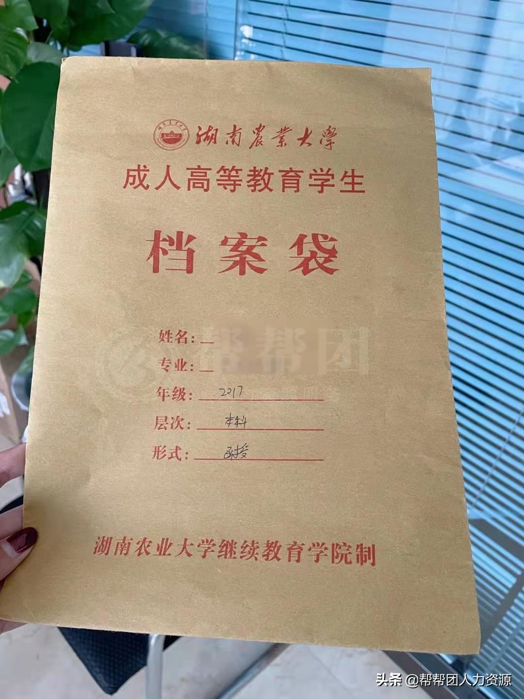 考上教师编档案怎么弄,档案在自己手里怎么考公