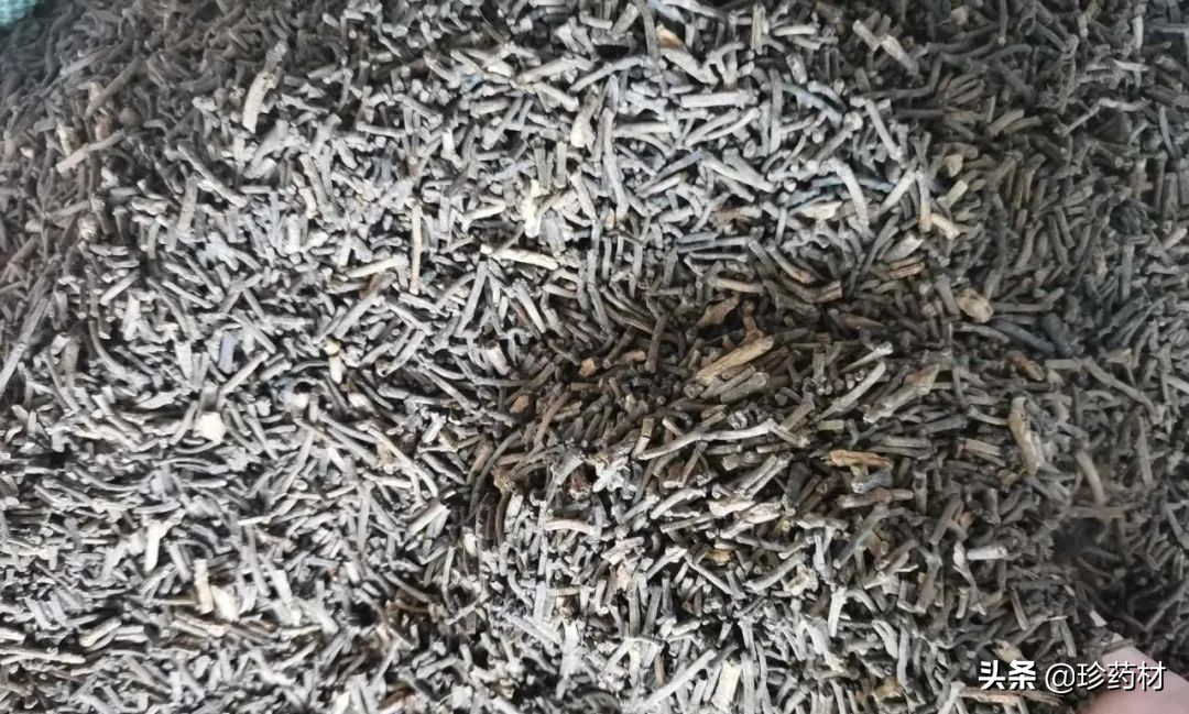 药材市场今日观察第五期,药材市场每日观察二十四期