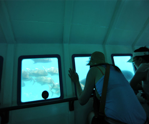 天堂之岛巴厘岛，半自由行攻略和必去景点