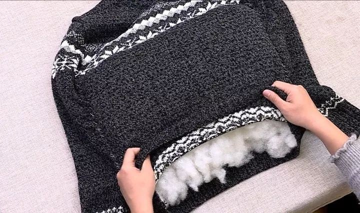 盘点铲屎官养的那些小宠物,铲屎官整宠物