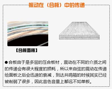 新手如何选购一把合适的吉他？