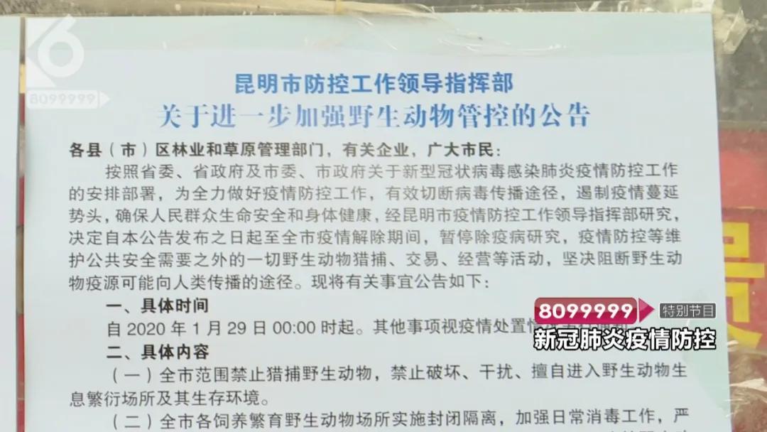 花鸟市场哪些不能买,花鸟市场现在还有吗