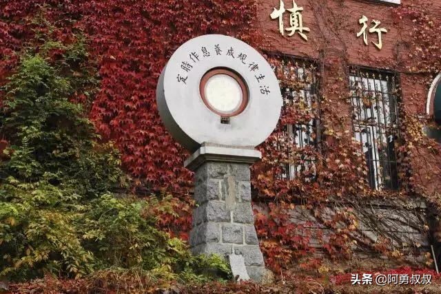 大连全国百强国际学校,大连第二十四中学全国排名