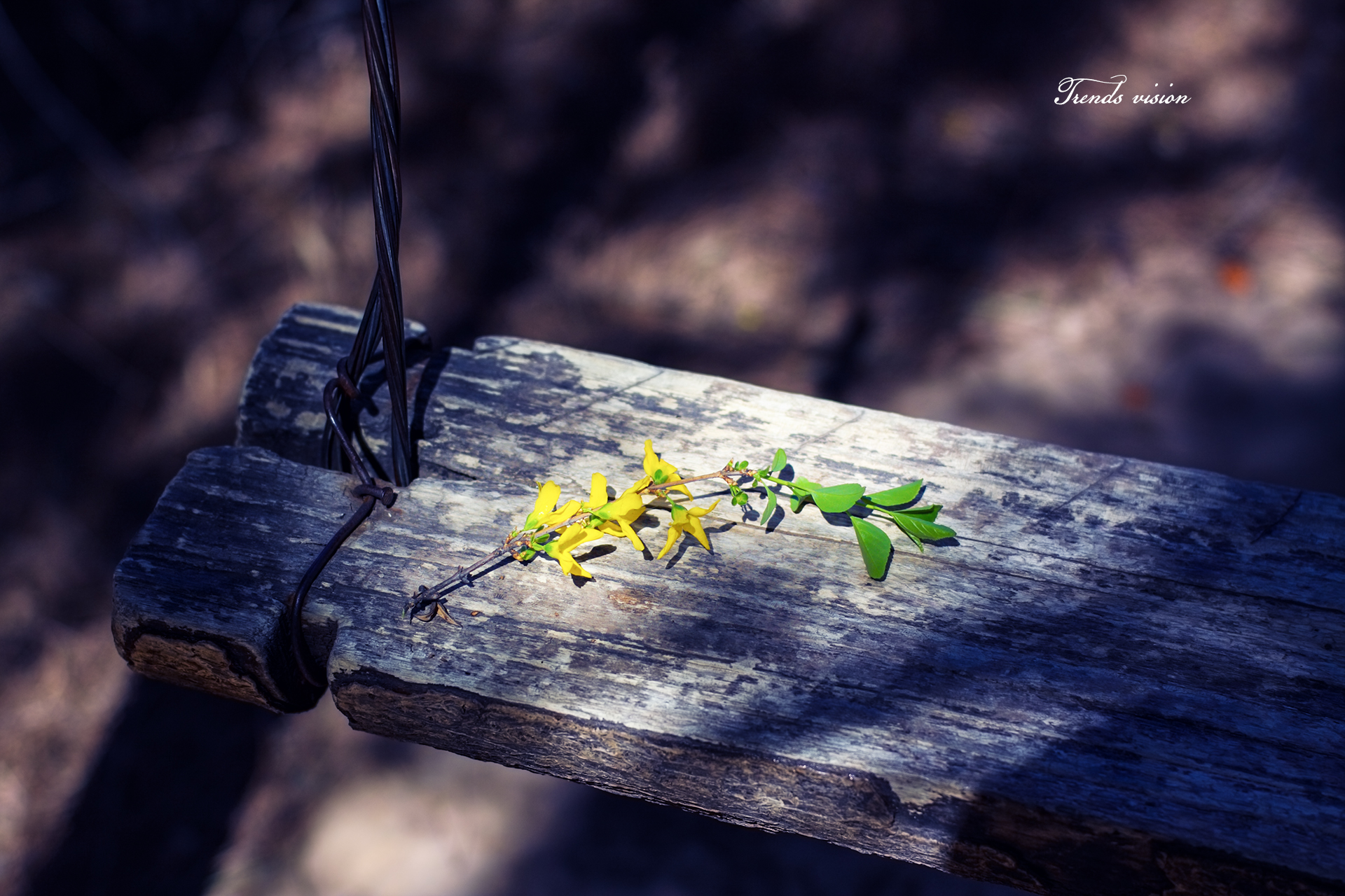 林州仙台山风景区门票,林州太行大峡谷仙台山
