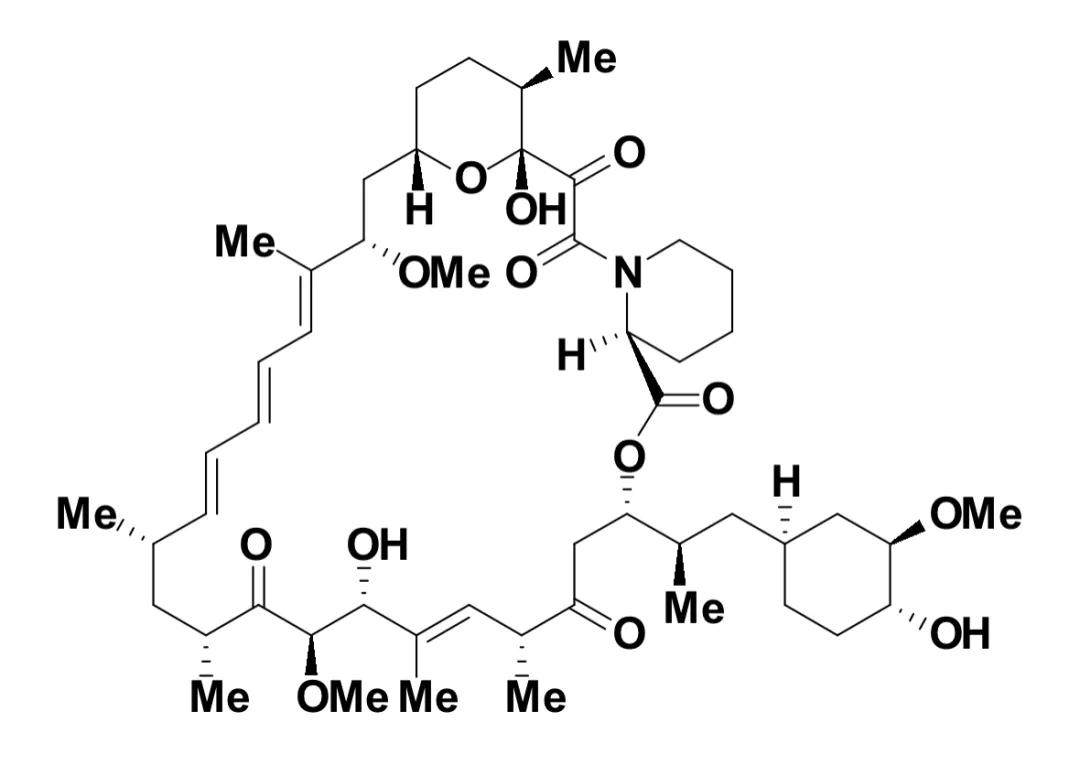TOR:开启研究细胞生长代谢的大门|“诺奖值得”系列